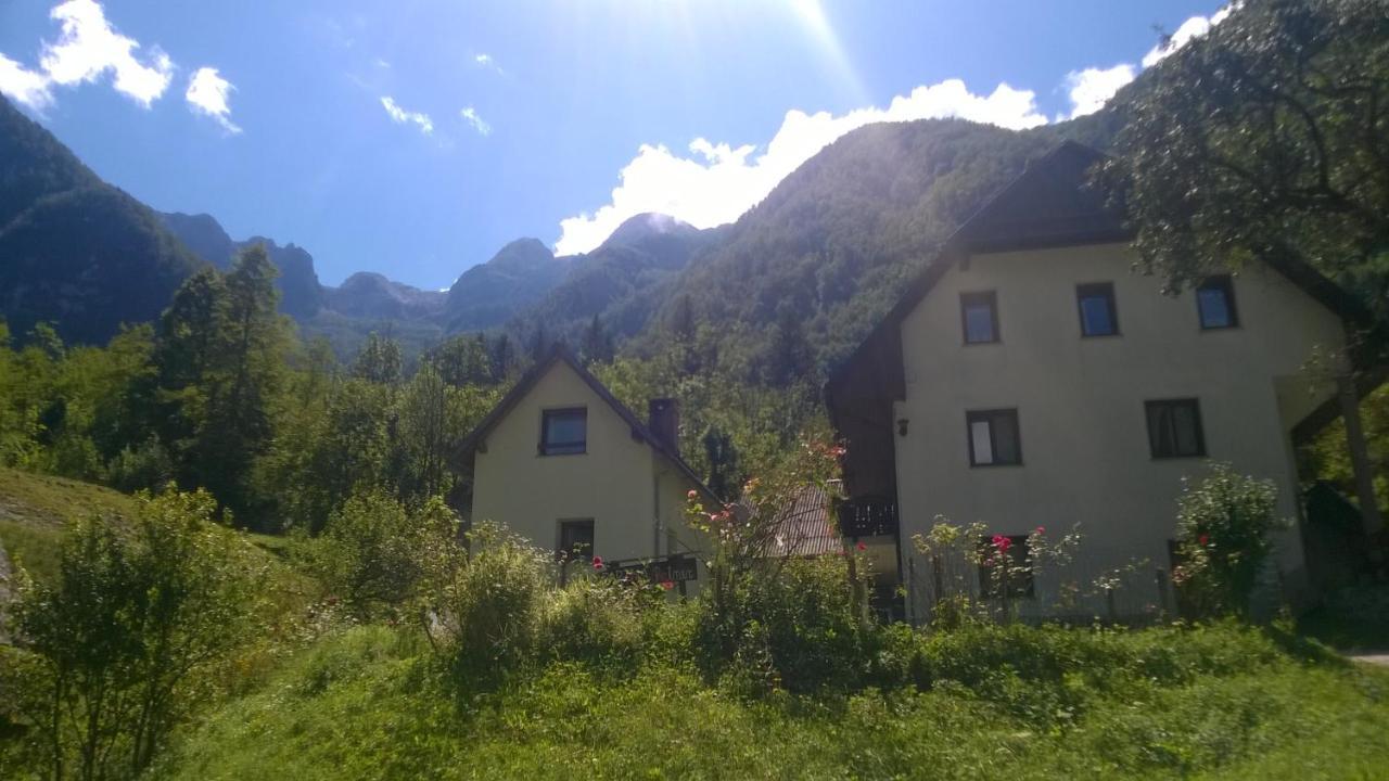 Pretner, Lepena