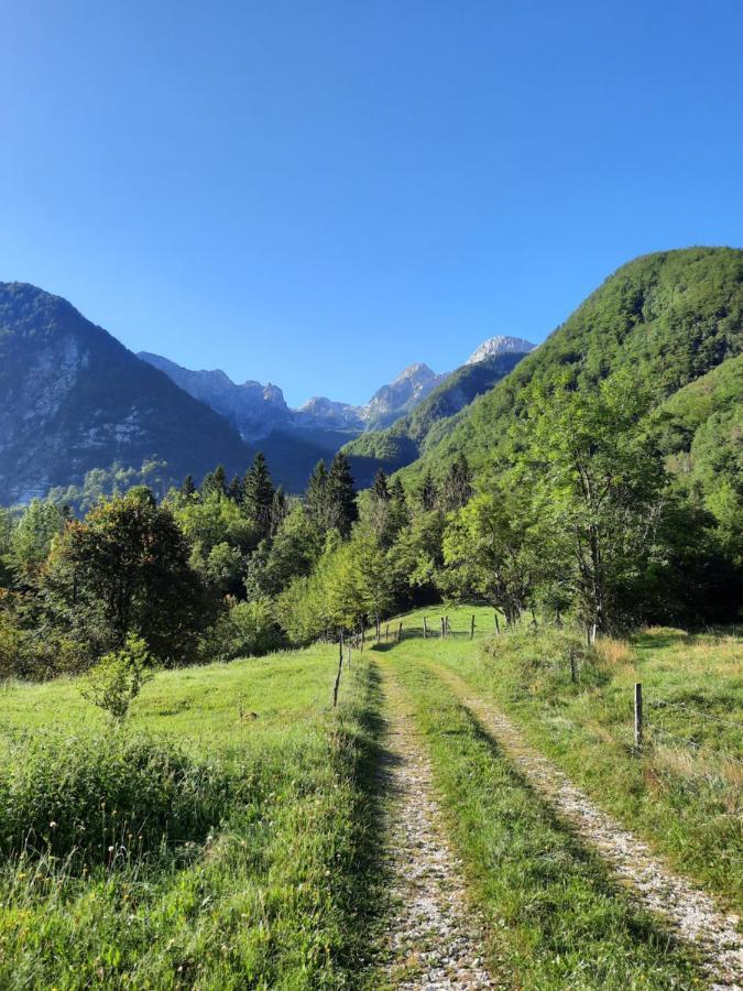 Apartment Pretner, Lepena Soča